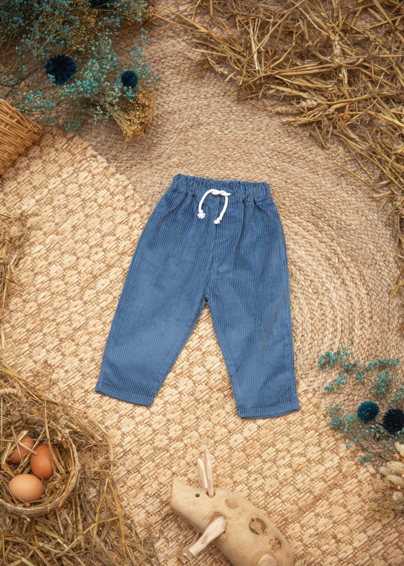 Pantalon velours bleu